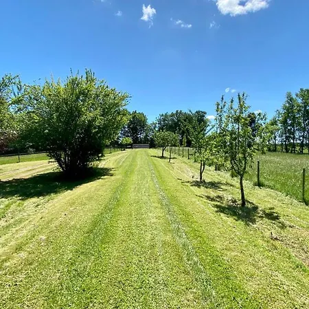 Domaine Solaya Coutras